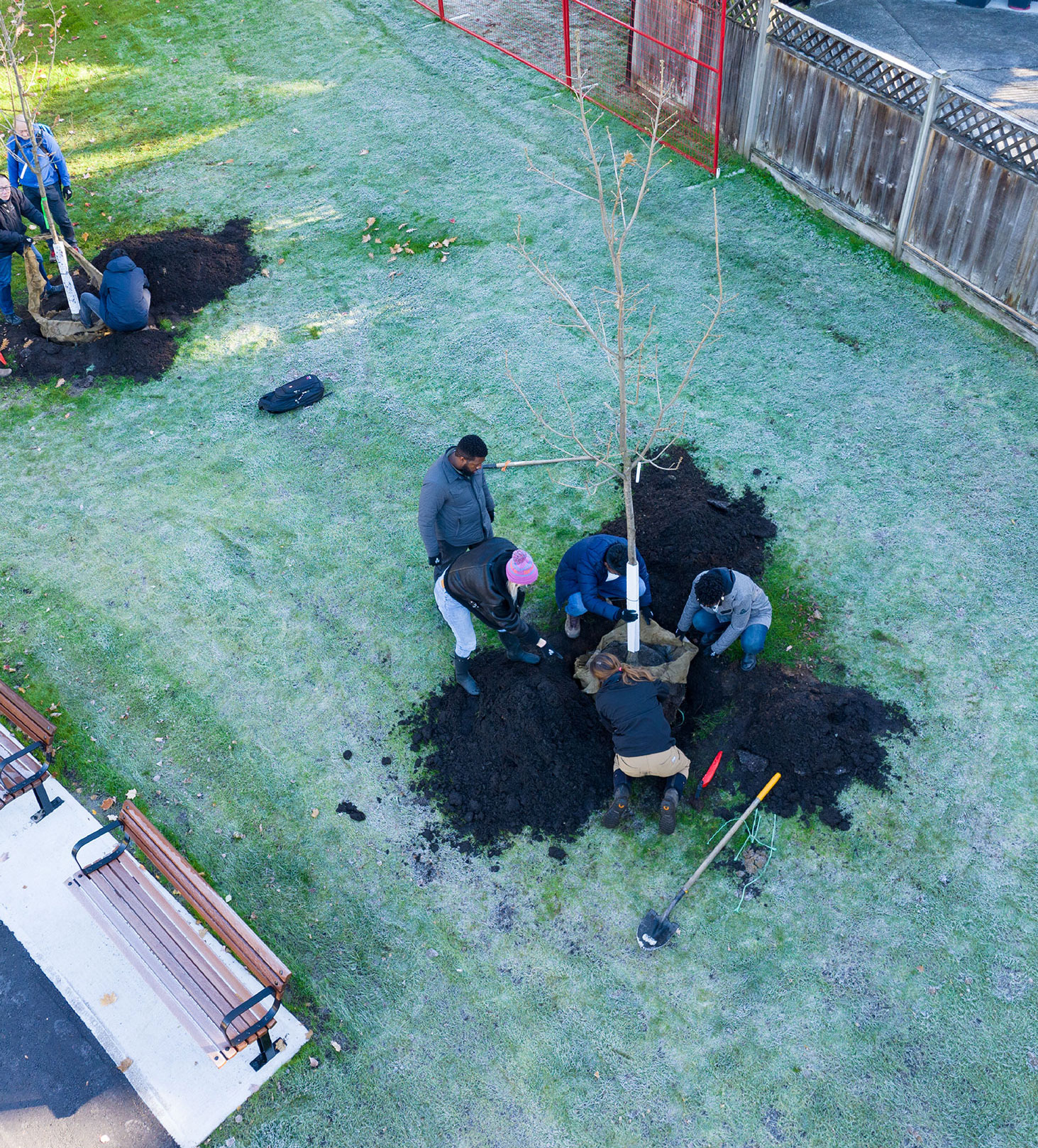 people planting trees